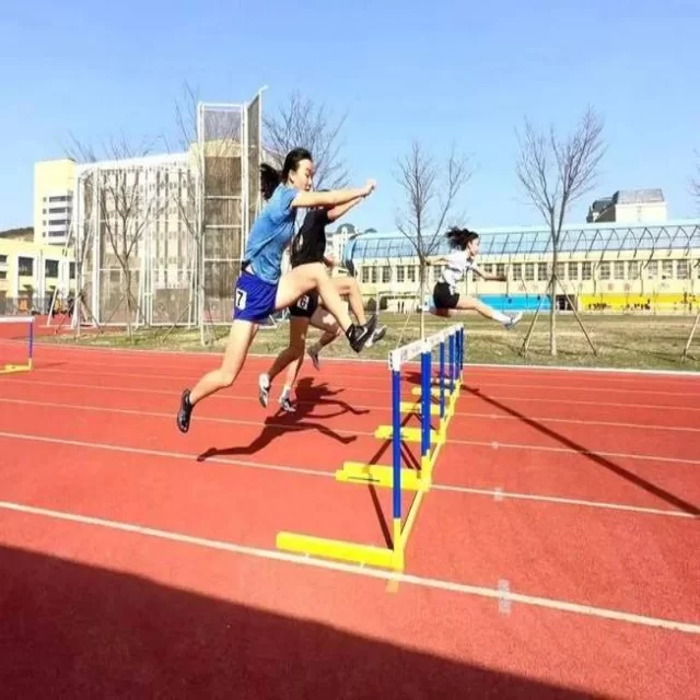 从数据视角解读乒乓球冠军竞争格局第247组